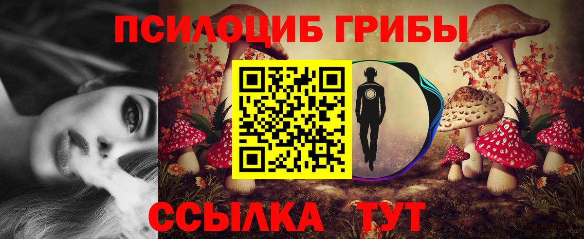Артём  Галлюциногенные грибы Cubensis  Вход с VPN 
